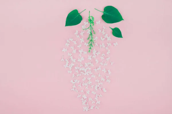 Δημιουργική Ιδέα Επίπεδη Lay Κάτοψη Του Λευκού Λιλά Λουλούδια Πέταλα — Φωτογραφία Αρχείου