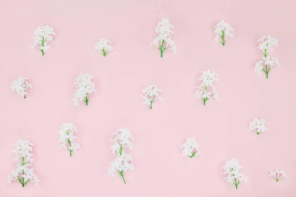 Creative flat lay concept top view of white lilac flowers petals on pastel pink background with copy space in minimal style, template for lettering, text or design