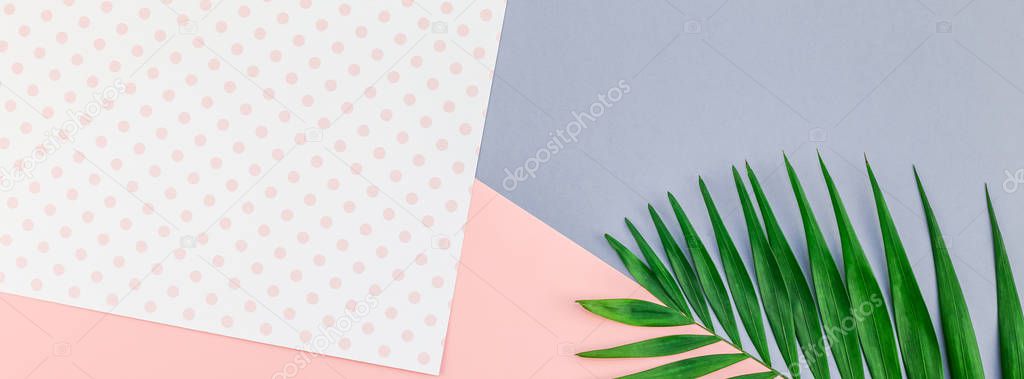 Creative flat lay top view of green tropical palm leaves on color paper background with copy space. Minimal tropical palm leaf plants summer concept template for your text or design