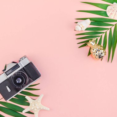 Yaratıcı düz tropikal palmiye yaprakları yeşil ve eski fotoğraf makinesi üstten görünüm bin yıllık pembe Kağıt arka plan üzerinde kopya alanı ile yatıyordu. En az tropikal palmiye yaprağı bitki yaz seyahat kavramı şablonu