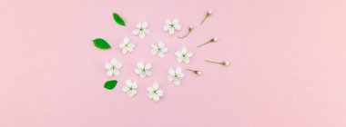 Bin yıllık pembe arka plan kopya alanı en az stili, yazı, metin veya tasarım şablonu ile desen çerçeve yaratıcı üstten görünüm kiraz ağacı çiçek açan çiçekler