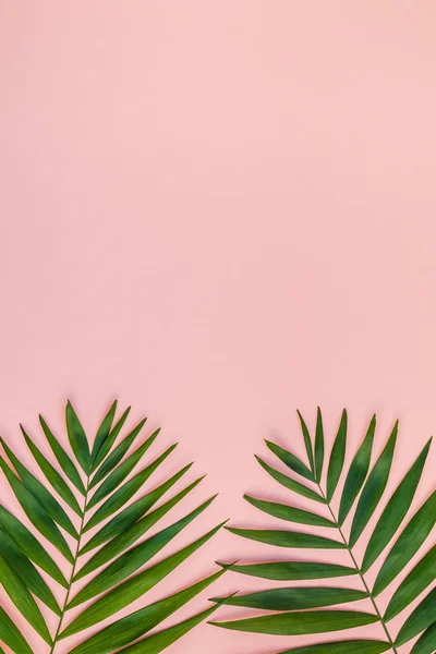 Creative flat lay top view of green tropical palm leaves millennial pink paper background with pineapples copy space. Minimal tropical palm leaf plants summer concept template for your text or design