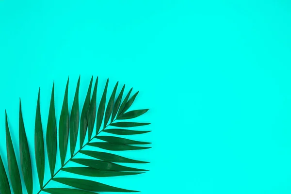 Vista Superior Plana Creativa Hojas Palma Tropical Verde Sobre Fondo — Foto de Stock