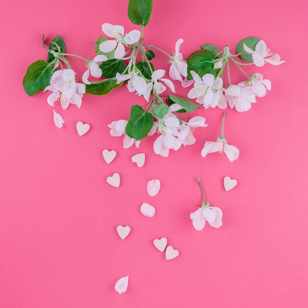 Креативный Вид Сверху Цветущие Цветы Яблони Обрамляет Рамку Тысячелетнем Розовом — стоковое фото