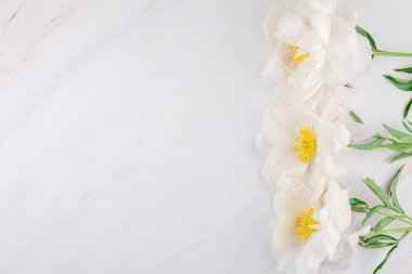 Güzel kopya alanı en az tarzı, kartpostal, yazı, metin veya tasarım şablonu mermer zemin üzerine beyaz şakayık çiçekleri blooming. Düğün davetiyesi ve kutlama tebrik kavramı