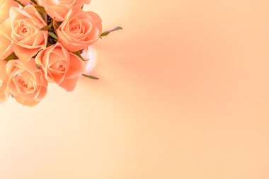 Yaratıcı en iyi görünüm düz taze mercan pembe gül buketi kopya alanı pastel Kağıt arka plan minimalizm tarzı ile yatıyordu. Düğün davetiye kartı şablonu kadınsı blog sosyal medya tatil