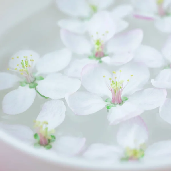 アロマ水を入れたボウルに浮かぶアップル ツリー花を開花白い春閉じるを広場します スパとウェルネスのコンセプト — ストック写真