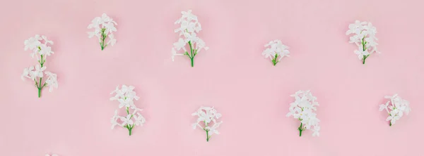 Creative flat lay concept top view of white lilac flowers petals on pastel pink background with copy space in minimal style, template for lettering, text or design