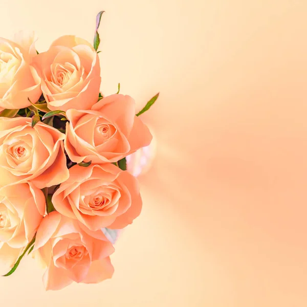 Δημιουργική Κάτοψη Επίπεδη Θέσει Φρέσκα Κοραλλί Ροζ Τριαντάφυλλα Μπουκέτο Αντίγραφο — Φωτογραφία Αρχείου