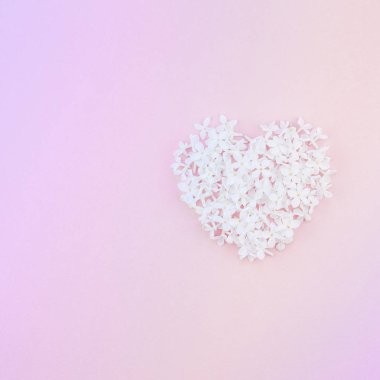 Yaratıcı düz kavramı üstten görünüm beyaz leylak çiçek yaprakları kalp pastel pembe arka plan üzerinde kopya alanı en az tarzı, sevgi sevgililer kartları, metin veya tasarım şablonu ile göklere
