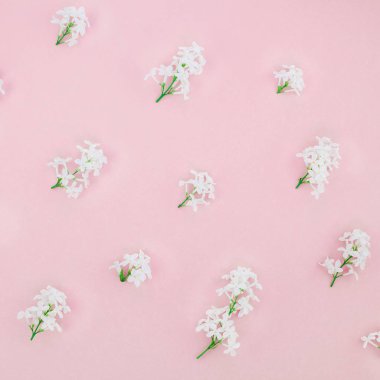 Yaprakları kopya alanı en az stili, yazı, metin veya tasarım şablonu ile pastel pembe arka plan üzerinde beyaz leylak yaratıcı düz yatıyordu kavramı en iyi görünümünü çiçekler