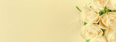 Yaratıcı en iyi görünüm düz taze beyaz gül buketi kopya alanı pastel Kağıt arka plan minimalizm tarzı ile yatıyordu. Düğün davetiye kartı şablonu kadınsı blog sosyal medya tatil