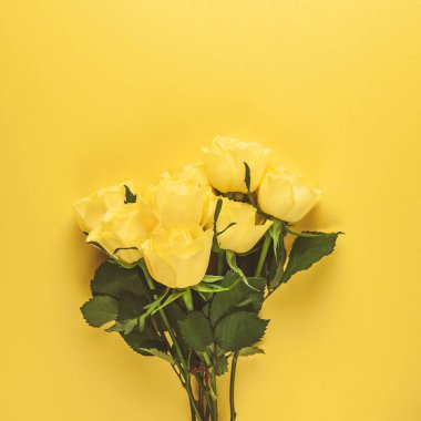 Yaratıcı en iyi görünüm düz taze sarı gül buketi kopya alanı koyu bir renk Kağıt arka plan minimalizm tarzı ile yatıyordu. Düğün davetiye kartı şablonu kadınsı blog sosyal medya tatil