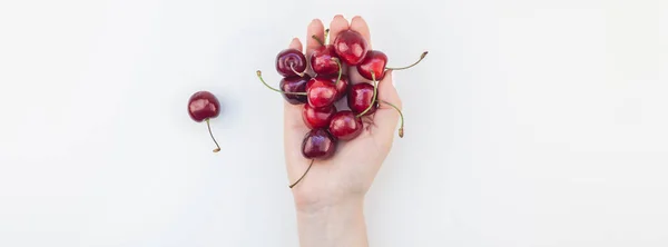 Long Wide Banner Fresh Ripe Cherry Female Hands Copy Space — Stock Photo, Image