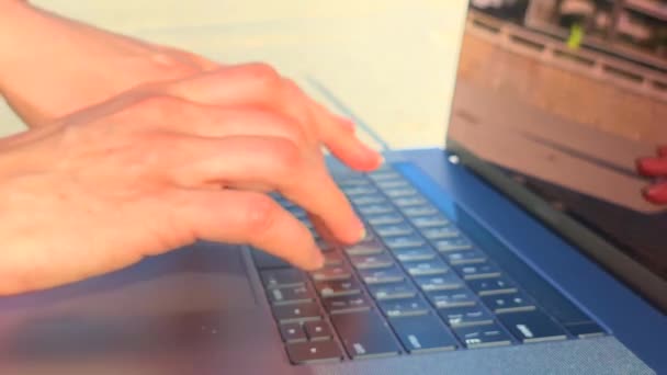 Flicka Rosa Tröja Sandstranden Arbetar Modern Laptop Frilansande Konceptet Oskarp — Stockvideo