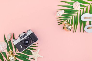 Yaratıcı düz tropikal palmiye yaprakları yeşil ve eski fotoğraf makinesi üstten görünüm bin yıllık pembe Kağıt arka plan üzerinde kopya alanı ile yatıyordu. En az tropikal palmiye yaprağı bitki yaz seyahat kavramı şablonu