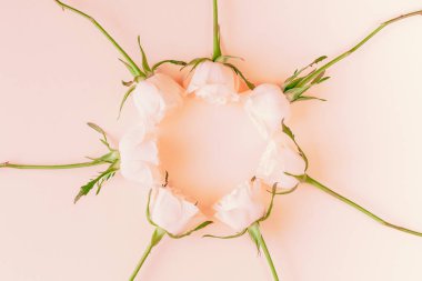 Yaratıcı en iyi görünüm düz taze pembe gül kompozisyon kopya alanı pastel Kağıt arka plan minimalizm tarzı ile yatıyordu. Düğün davetiye kartı şablonu kadınsı blog sosyal medya tatil