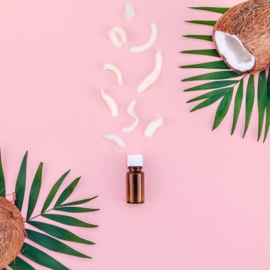 Yaratıcı düz yatıyordu üstten görünüm yeşil tropikal palmiye Hindistan cevizi meyve ve Hindistan cevizi yağı kozmetik cilt ve saç bakımı için pembe Kağıt arka plan kopya alanı üzerinde bırakır. En az tropikal yaz güzellik spa konsept