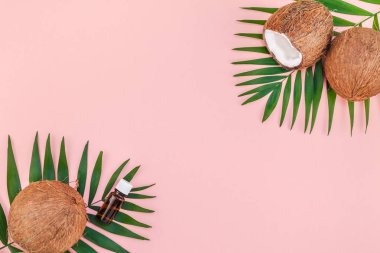 Yaratıcı düz yatıyordu üstten görünüm yeşil tropikal palmiye Hindistan cevizi meyve ve Hindistan cevizi yağı kozmetik cilt ve saç bakımı için pembe Kağıt arka plan kopya alanı üzerinde bırakır. En az tropikal yaz güzellik spa konsept