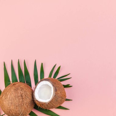 Yaratıcı düz yatıyordu üstten görünüm yeşil tropikal palmiye Hindistan cevizi meyve ve Hindistan cevizi yağı kozmetik cilt ve saç bakımı için pembe Kağıt arka plan kopya alanı üzerinde bırakır. En az tropikal yaz güzellik spa konsept