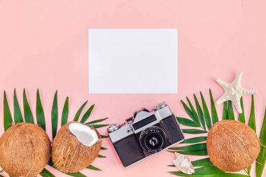 Yaratıcı düz üstten görünüm sahte yeşil tropikal palmiye yaprakları hindistancevizi boş kağıt kartı eski fotoğraf kamera pembe arka plan kopya alanı yatıyordu. En az tropikal palmiye yaprağı bitki yaz seyahat kavramı şablonu
