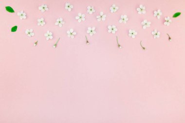 Bin yıllık pembe arka plan kopya alanı en az stili, yazı, metin veya tasarım şablonu ile desen çerçeve yaratıcı üstten görünüm kiraz ağacı çiçek açan çiçekler
