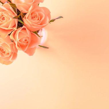 Yaratıcı en iyi görünüm düz taze mercan pembe gül buketi kopya alanı pastel Kağıt arka plan minimalizm tarzı ile yatıyordu. Düğün davetiye kartı şablonu kadınsı blog sosyal medya tatil