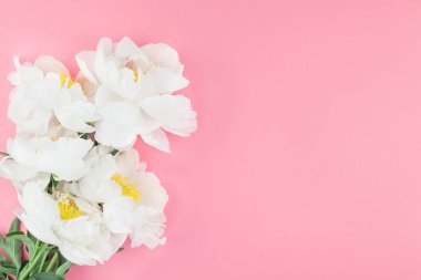 Çiçek beyaz şakayık pastel renk Kağıt arka plan kopya alanı en az tarzı, kartpostal, yazı, metin için şablon ile tasarımınızı çiçekler. Düğün davetiyesi ve kutlama tebrik kavramı