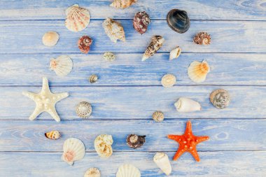 Yaratıcı düz yaz seyahat tatil kavramı yatıyordu. Kopya alanı rustik tarzı, çerçeve şablonu metin için pastel mavi ahşap plakalar zemin üzerine deniz kabuklarını ve denizyıldızı üstten görünüm