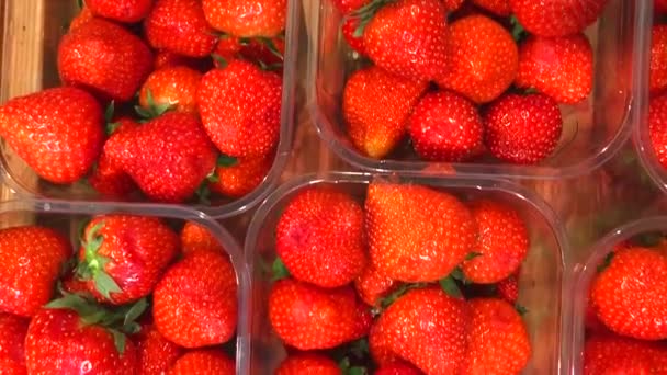 スーパー マーケット ビデオ でプラスチックの箱に自然有機栽培のイチゴ — ストック動画