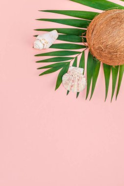 Yaratıcı düz yatıyordu üstten görünüm yeşil tropikal palmiye yaprakları Hindistan cevizi meyve ve eski fotoğraf makinesi pembe Kağıt arka plan üzerinde kopya alanı ile. En az tropikal palmiye yaprağı bitki yaz seyahat kavramı şablonu