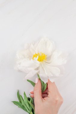 Güzel kopya alanı en az tarzı, kartpostal, yazı, metin veya tasarım şablonu mermer zemin üzerine beyaz şakayık çiçekleri blooming. Düğün davetiyesi ve kutlama tebrik kavramı