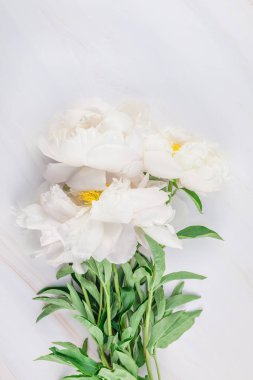 Güzel kopya alanı en az tarzı, kartpostal, yazı, metin veya tasarım şablonu mermer zemin üzerine beyaz şakayık çiçekleri blooming. Düğün davetiyesi ve kutlama tebrik kavramı