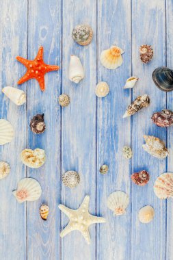 Yaratıcı düz yaz seyahat tatil kavramı yatıyordu. Kopya alanı rustik tarzı, çerçeve şablonu metin için pastel mavi ahşap plakalar zemin üzerine deniz kabuklarını ve denizyıldızı üstten görünüm