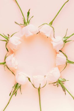 Yaratıcı en iyi görünüm düz taze pembe gül kompozisyon kopya alanı pastel Kağıt arka plan minimalizm tarzı ile yatıyordu. Düğün davetiye kartı şablonu kadınsı blog sosyal medya tatil