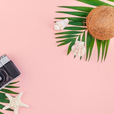 Yaratıcı düz yatıyordu üstten görünüm yeşil tropikal palmiye yaprakları Hindistan cevizi meyve ve eski fotoğraf makinesi pembe Kağıt arka plan üzerinde kopya alanı ile. En az tropikal palmiye yaprağı bitki yaz seyahat kavramı şablonu