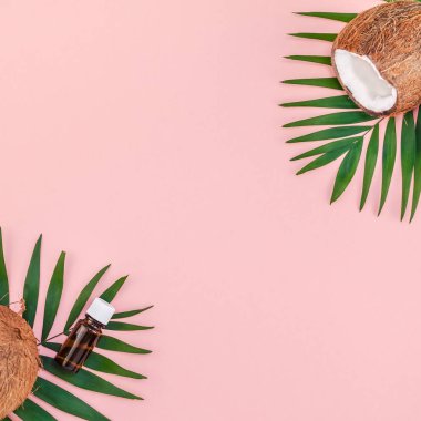 Yaratıcı düz yatıyordu üstten görünüm yeşil tropikal palmiye Hindistan cevizi meyve ve Hindistan cevizi yağı kozmetik cilt ve saç bakımı için pembe Kağıt arka plan kopya alanı üzerinde bırakır. En az tropikal yaz güzellik spa konsept