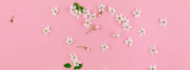 Bin yıllık pembe arka plan kopya alanı en az stili, yazı, metin veya tasarım şablonu ile desen çerçeve yaratıcı üstten görünüm kiraz ağacı çiçek açan çiçekler