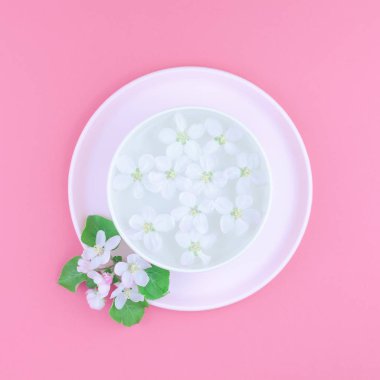 Yaratıcı düz kavramı üstten görünüm aroma kase su ile yatıyordu ve beyaz altında çiçek açması elma ağacı çiçek pastel pembe Kağıt kopya alanı kare zemin üzerine en az tarzı, metin için şablon bahar