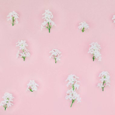 Yaprakları kopya alanı en az stili, yazı, metin veya tasarım şablonu ile pastel pembe arka plan üzerinde beyaz leylak yaratıcı düz yatıyordu kavramı en iyi görünümünü çiçekler