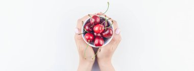 Uzun geniş afiş taze olgun kiraz bir kase elleriniz ve beyaz arka plan üzerinde en az stili izole kopya alanı. Yaz eğlenceli ve sağlıklı beslenme kavramı. Metin veya gıda tasarımınız için şablon