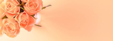 Yaratıcı en iyi görünüm düz taze mercan pembe gül buketi kopya alanı pastel Kağıt arka plan minimalizm tarzı ile yatıyordu. Düğün davetiye kartı şablonu kadınsı blog sosyal medya tatil