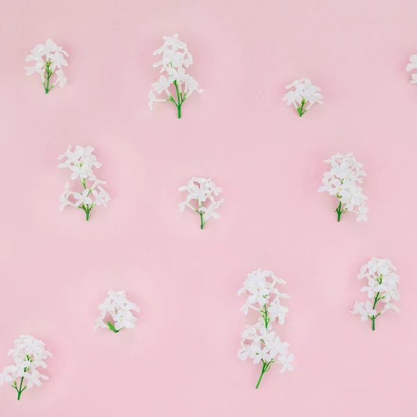 Creative flat lay concept top view of white lilac flowers petals on pastel pink background with copy space in minimal style, template for lettering, text or design