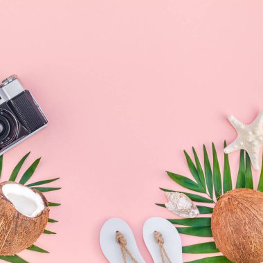 Yaratıcı düz yatıyordu üstten görünüm yeşil tropikal palmiye yaprakları Hindistan cevizi meyve ve eski fotoğraf makinesi pembe Kağıt arka plan üzerinde kopya alanı ile. En az tropikal palmiye yaprağı bitki yaz seyahat kavramı şablonu