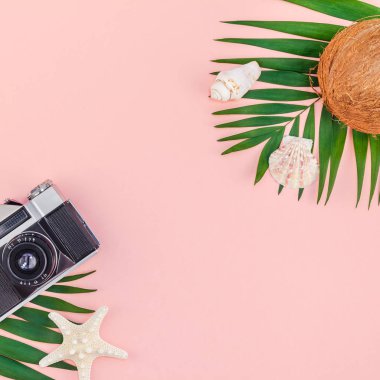 Yaratıcı düz yatıyordu üstten görünüm yeşil tropikal palmiye yaprakları Hindistan cevizi meyve ve eski fotoğraf makinesi pembe Kağıt arka plan üzerinde kopya alanı ile. En az tropikal palmiye yaprağı bitki yaz seyahat kavramı şablonu