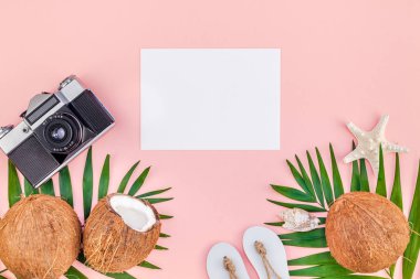 Yaratıcı düz üstten görünüm sahte yeşil tropikal palmiye yaprakları hindistancevizi boş kağıt kartı eski fotoğraf kamera pembe arka plan kopya alanı yatıyordu. En az tropikal palmiye yaprağı bitki yaz seyahat kavramı şablonu