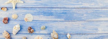 Uzun geniş düz yatıyordu yaz seyahat tatil kavramı banner. Kopya alanı rustik tarzı, çerçeve şablonu metin için pastel mavi ahşap plakalar zemin üzerine deniz kabuklarını ve denizyıldızı üstten görünüm
