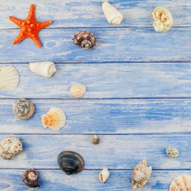 Kare yaratıcı düz yaz seyahat tatil kavramı yatıyordu. Kopya alanı rustik tarzı, çerçeve şablonu metin için pastel mavi ahşap plakalar zemin üzerine deniz kabuklarını ve denizyıldızı üstten görünüm