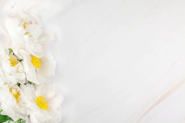 Hermosas Flores Peonía Blanca Flor Sobre Fondo Mármol Con Espacio — Foto de Stock