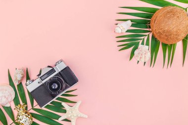 Yaratıcı düz yatıyordu üstten görünüm yeşil tropikal palmiye yaprakları Hindistan cevizi meyve ve eski fotoğraf makinesi pembe Kağıt arka plan üzerinde kopya alanı ile. En az tropikal palmiye yaprağı bitki yaz seyahat kavramı şablonu